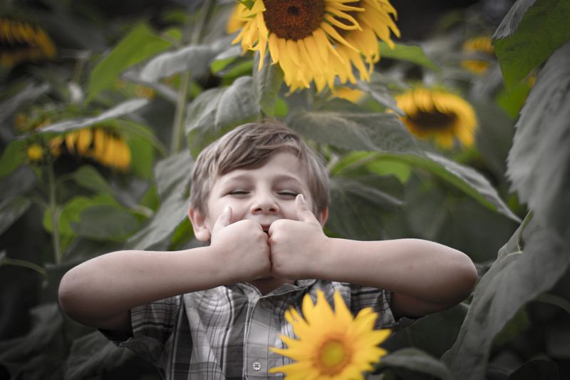 Sunflower festival — a grin behind the sunflowers