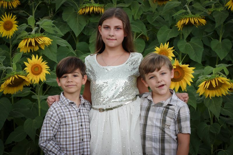 Sunflower festival — the kids in the sunflower field