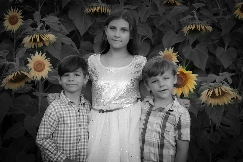 Sunflower festival — the kids among the sunflowers, black and white with selective color